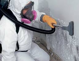 Reliable Los Gatos, CA Mold Remediation Solutions